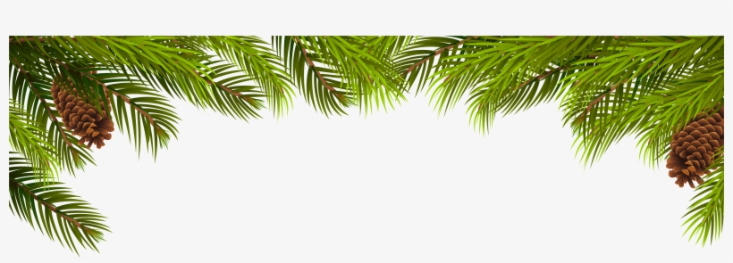 Pine Tree Branch Png Download - Leaf Frame Vector Png, transparent png download