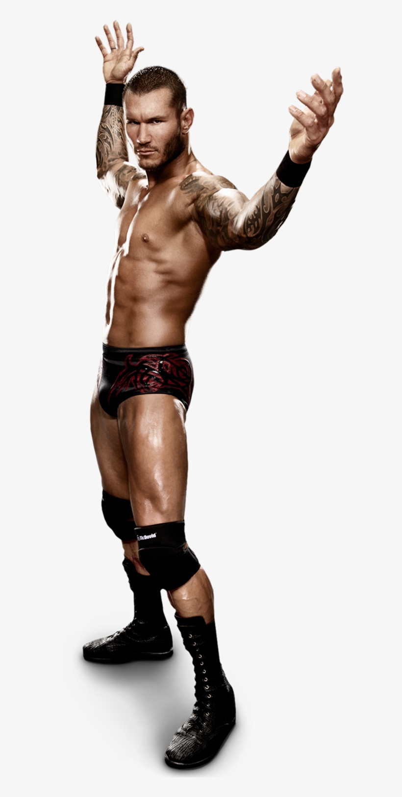 Download File - Randy Orton, transparent png download