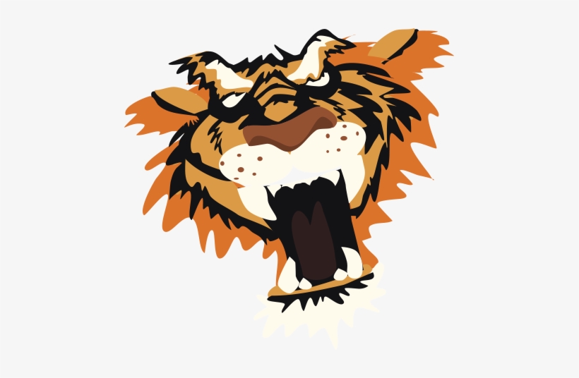 Tiger-face - Illustration, transparent png download