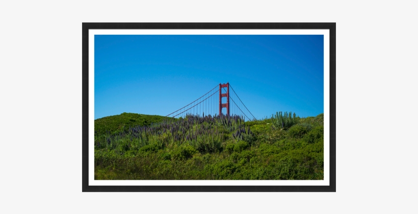 Suspension Bridge, transparent png download