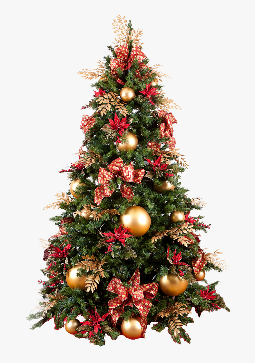 Christmas Tree Photo Png Hd Png Images - Christmas Tree Png Real, transparent png download