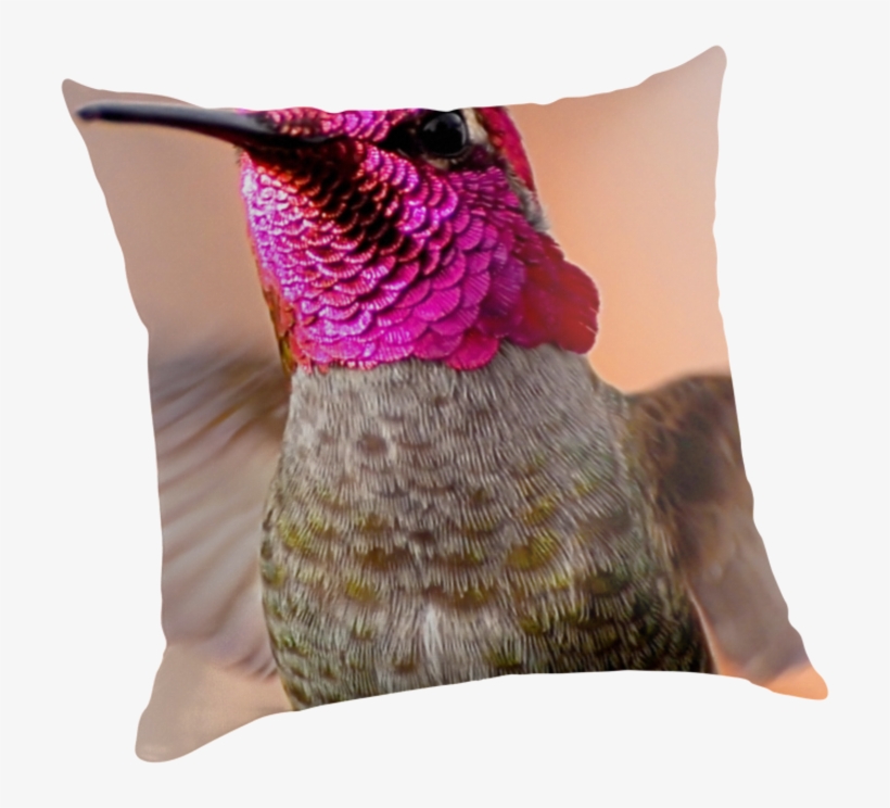 Calypte Anna By Kardancreations - Cushion, transparent png download