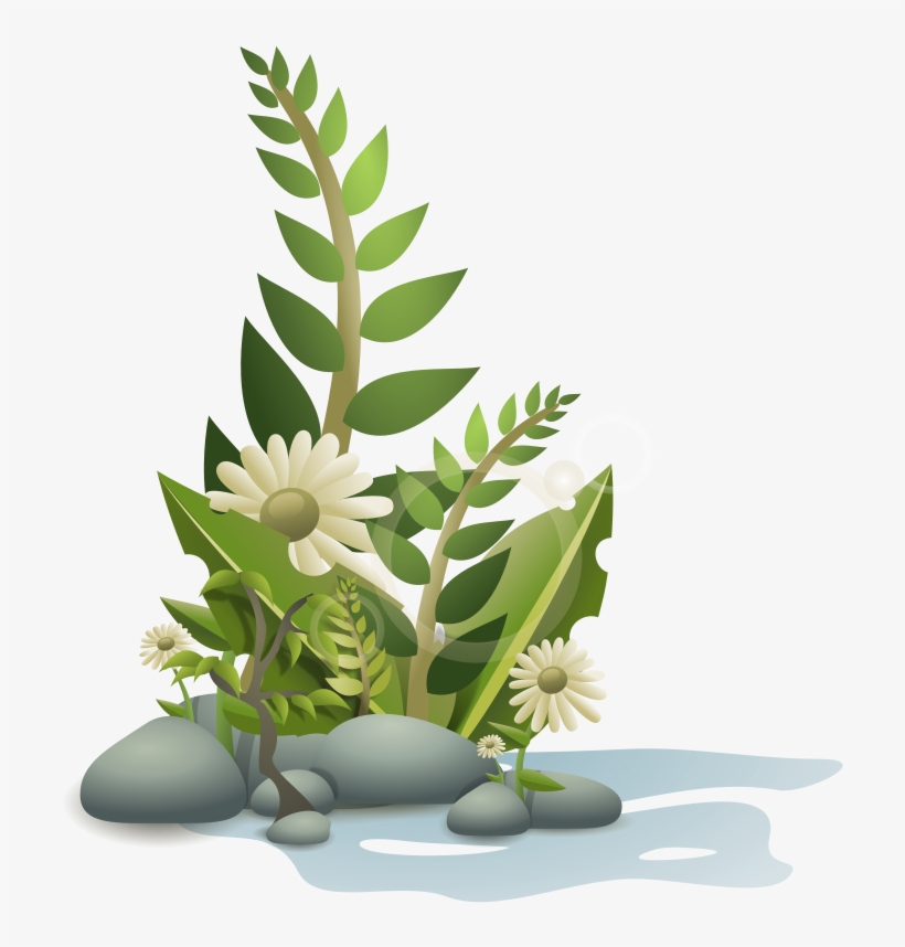 Andy Plants Pebbles And Flowers Clip Art Free Vector - Plants Clipart, transparent png download