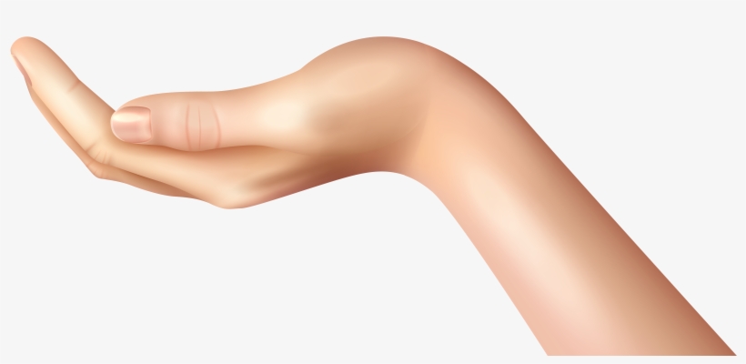 Hand Holding Clipart Png, transparent png download
