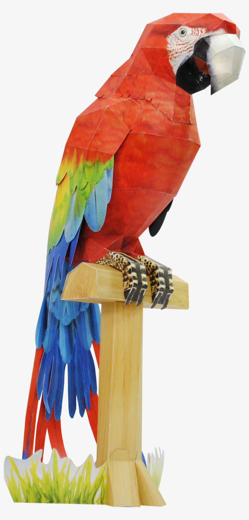 The Scarlet Macaw In Paper By Happy Paper Www - Macaw Papercraft, transparent png download