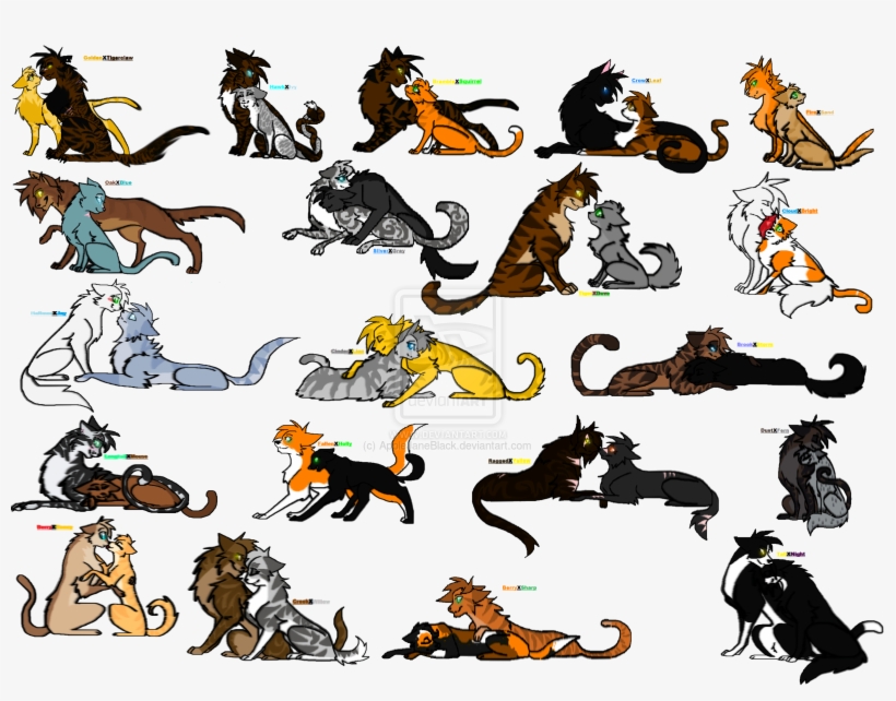Warrior Cats Couples By Applejaneblack-d6bgtre - Warrior Cats Couples, transparent png download
