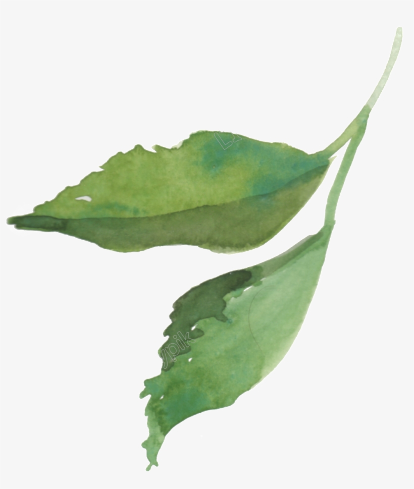 Vector Freeuse Transparent Painting Realistic - Jpeg, transparent png download