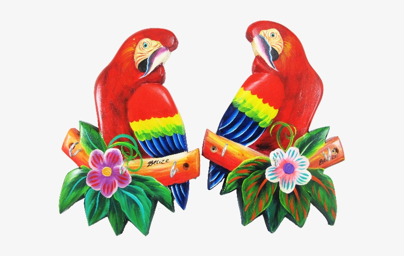 Scarlet Macaw Clipart Transparent - Macaw, transparent png download