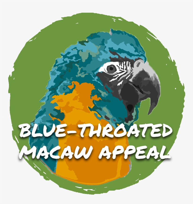 Blue-throated Macaw Appeal Logo - Macaw, transparent png download