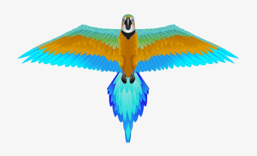Rainforest Blue Macaw Kite By Brainstorm - Macaw Kite, transparent png download