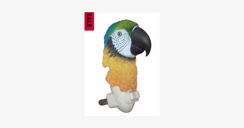 Blue & Gold Macaw Bust Night Light - Macaw, transparent png download