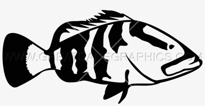 Grouper Clipart Funky Fish - Funky Grouper, transparent png download