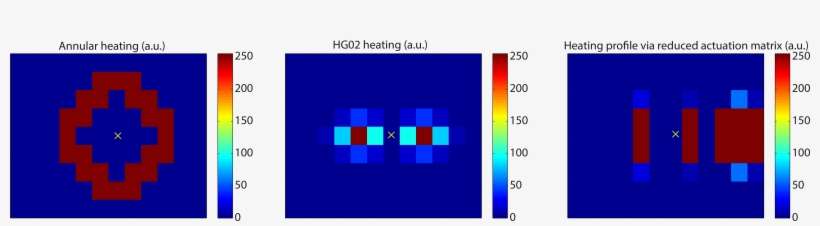 The Heating Patterns Used In This Work - Common Fig PNG Image ...