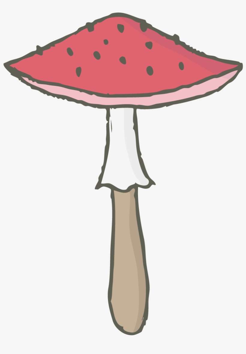Mushroom, transparent png download