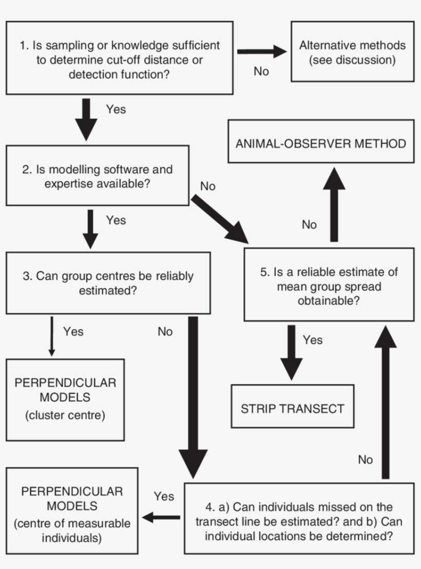 Choices For Deciding Between Line-transect Density - Density Estimation, transparent png download