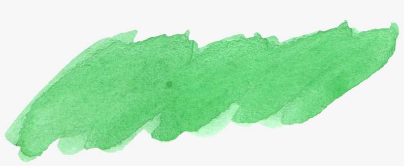 Free Download - Maidenhair Tree, transparent png download