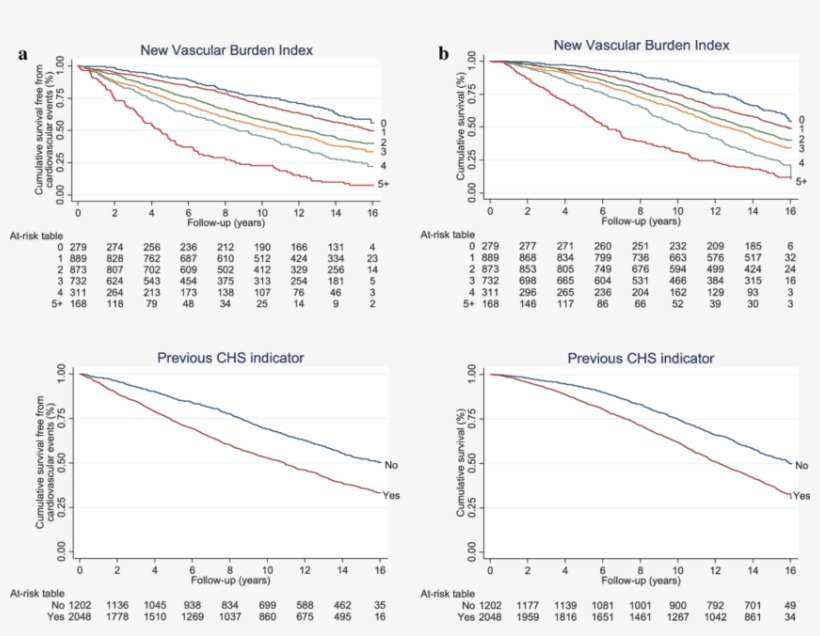 Unadjusted Kaplan-meier Curves For Survival Free From - Paper Product, transparent png download