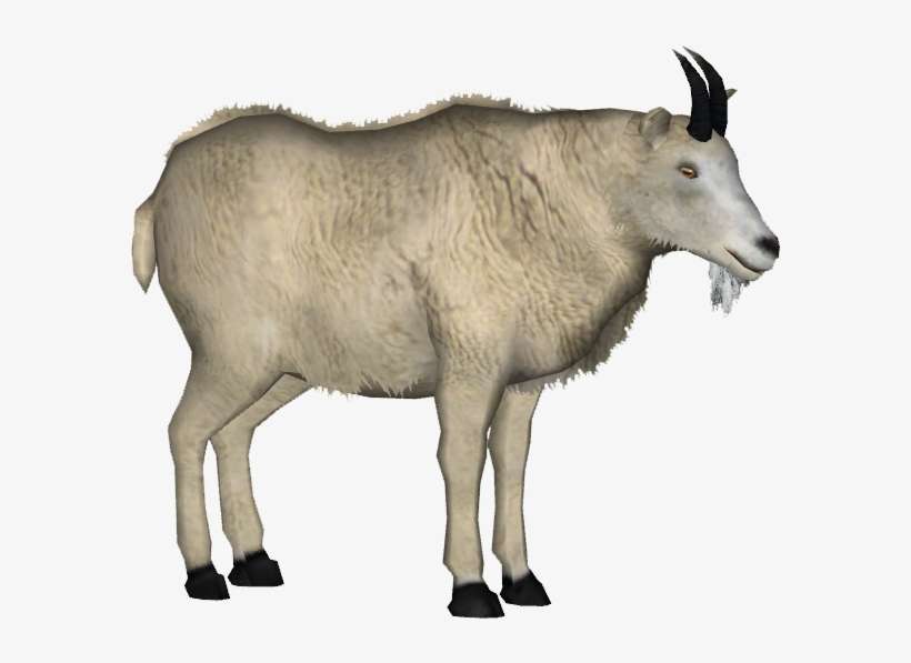 Mountain Goat 2 - Mountain Goat Png, transparent png download