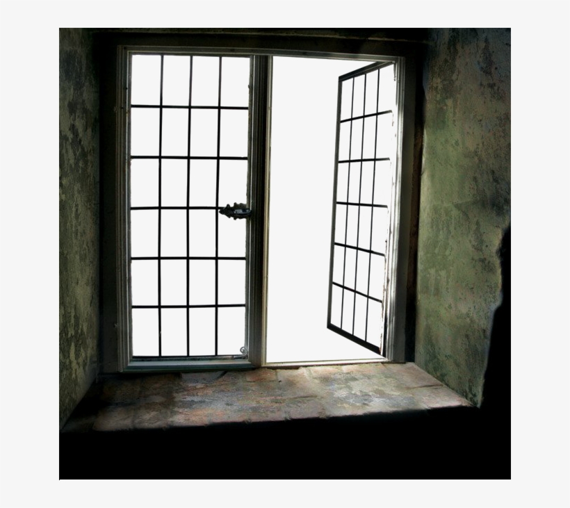 Window Png Clipart - Beach Window View Shower Curtain, transparent png download