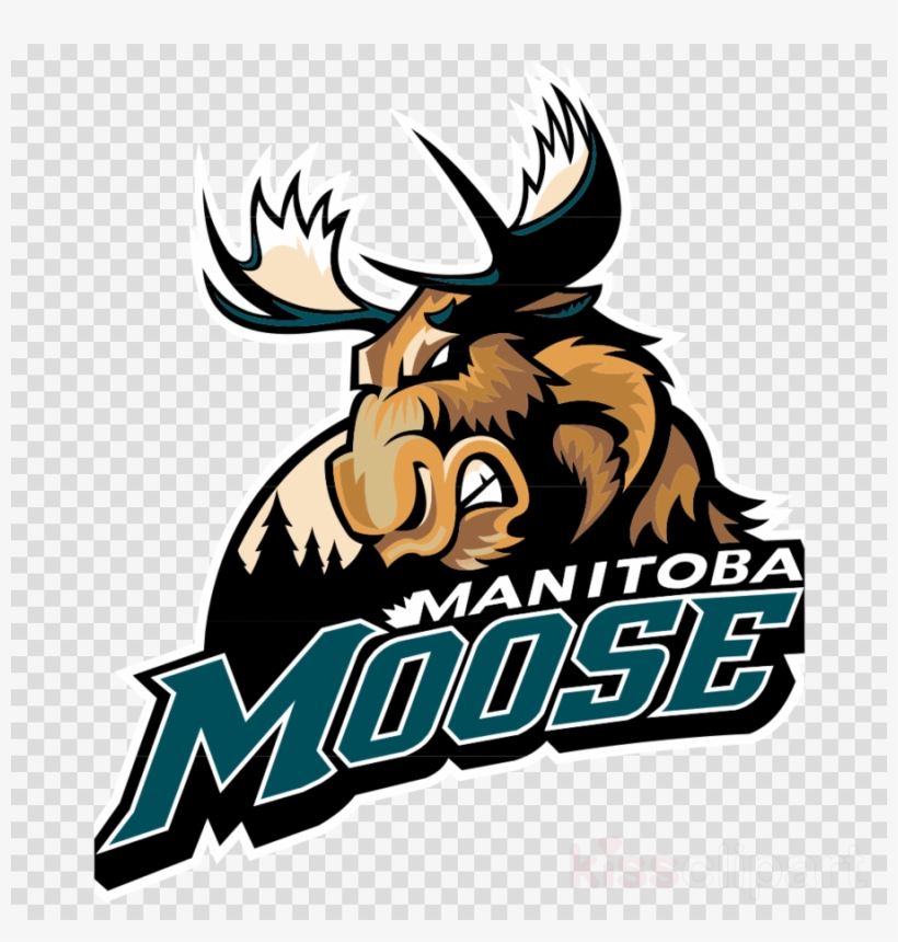 Manitoba Moose Logo Clipart Manitoba Moose American - Manitoba Moose Logo, transparent png download