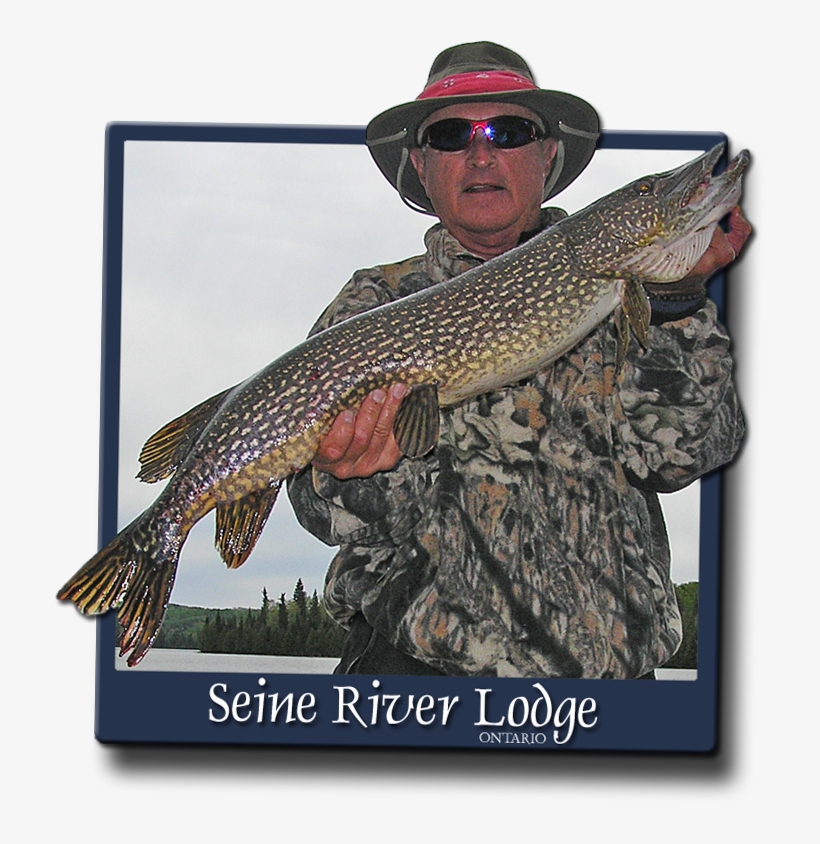 Summer Fishing In July & August - Ontario, transparent png download