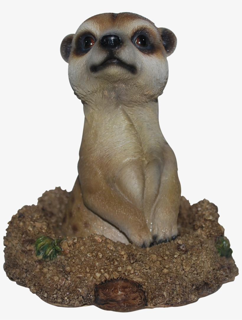 Groundhog Meerkat F - Meerkat, transparent png download