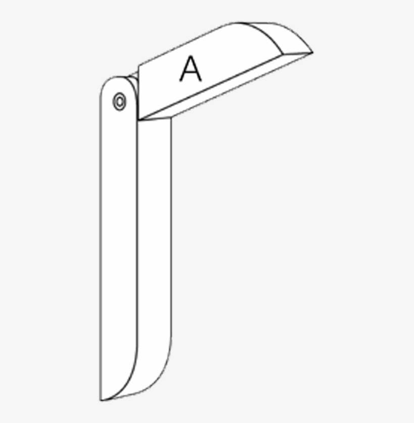 Toucan, transparent png download