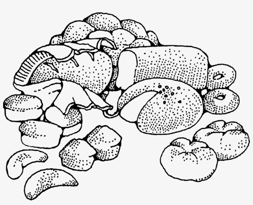 Baking Loaf Bread Biscuits Drawing - Carbohydrates Black And White, transparent png download
