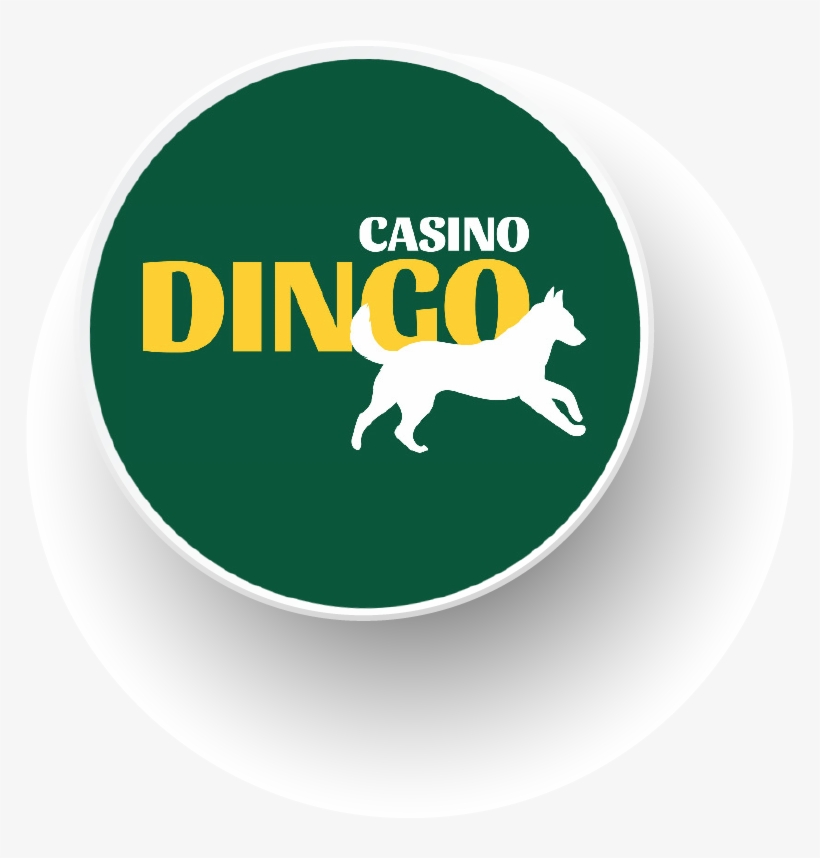 Casino Dingo Is An Extraordinary Professional Australian - Casino Dingo, transparent png download