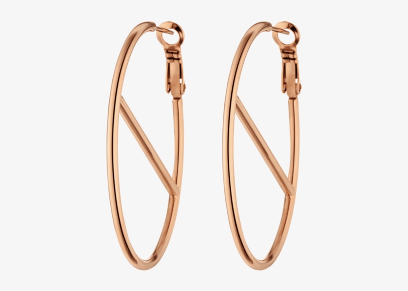 Earrings, transparent png download