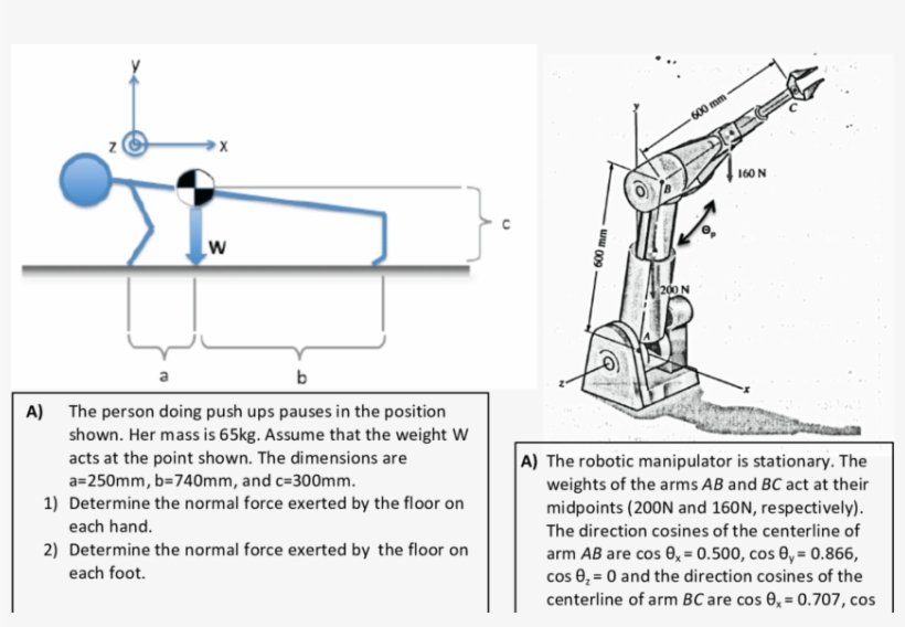 Week 6 Problem Image And Part A Problem Comparison, - Human, transparent png download