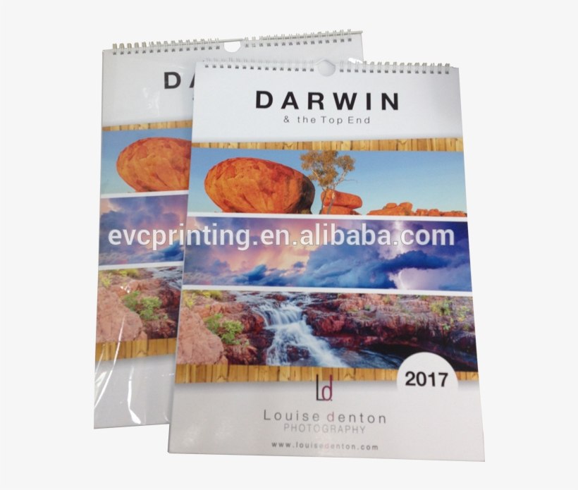 Spiral Binding Wall Calendar Printing - Flyer, transparent png download