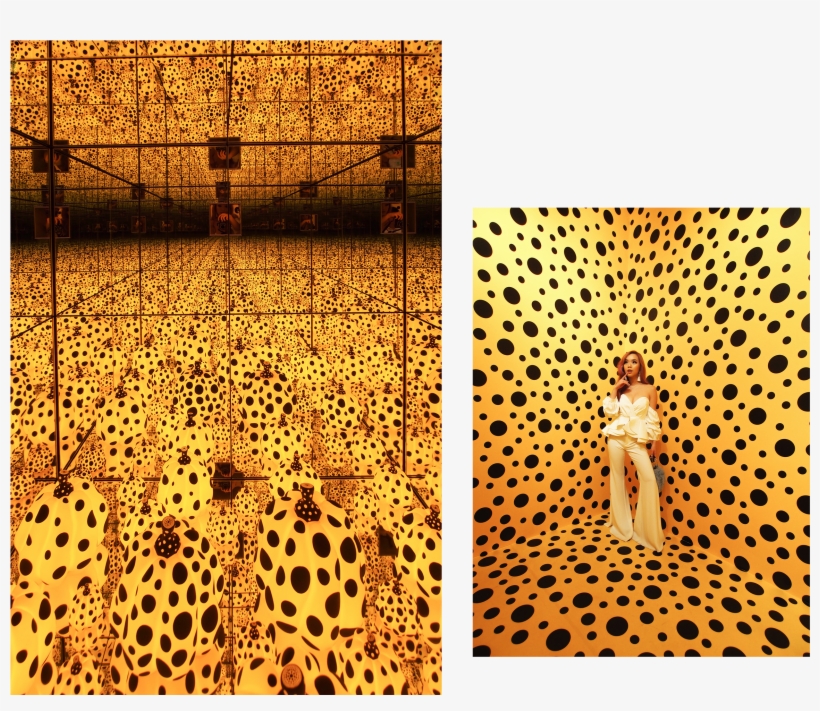 After My Failed Attempt At Sneaking A Photo In Tokyo's - National Museum Singapore Yayoi, transparent png download