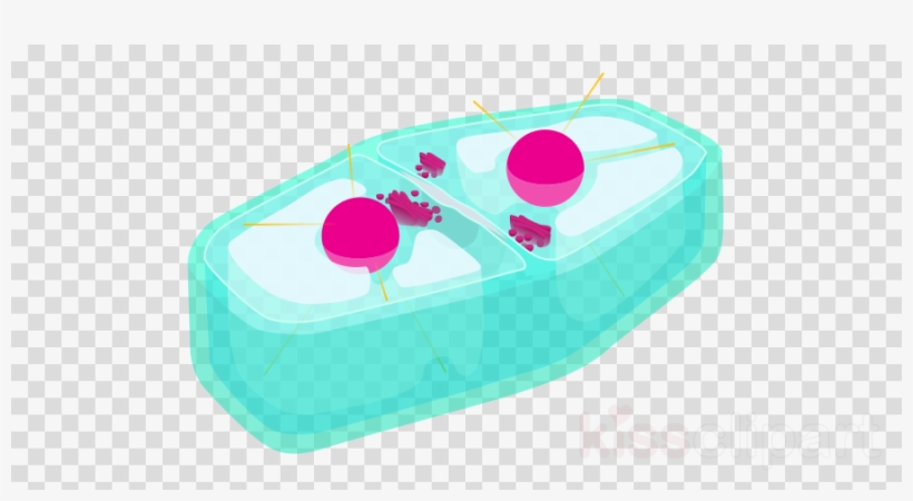 Plant Cell Clipart Cytokinesis Plant Cell - Tennis Ball Cartoon Transparent, transparent png download