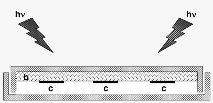Photoinactivation Of Bacteria - Patient, transparent png download