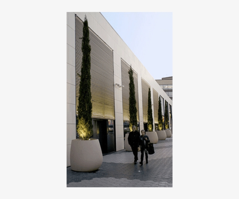 Escofet Catherine Planters - Barcelona, transparent png download