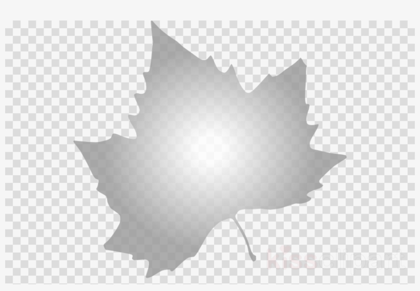 Autumn Leaves Clip Art Clipart Autumn Leaf Color Borders - Italian Png Stone Pine Tree, transparent png download