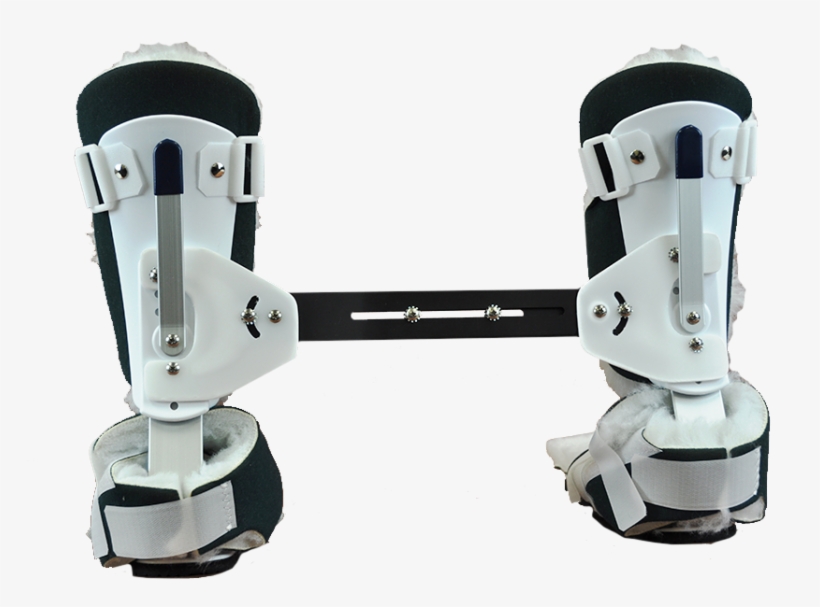 Click To Enlarge - Foot, transparent png download