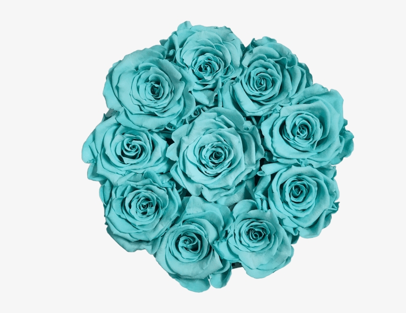 Prev - New York City, transparent png download