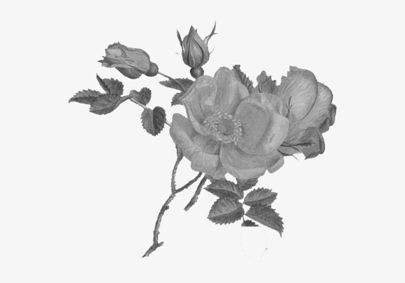 Experiential Design - Design, transparent png download