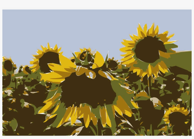 Sunflower M Sunflower Seed Sunflowers, transparent png download