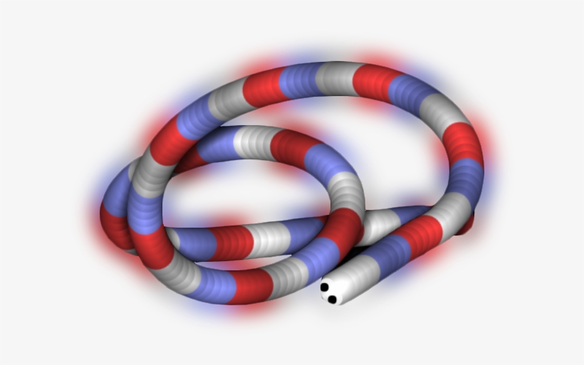 For Psd All Skins And How To Use - Sonoran Coral Snake, transparent png download