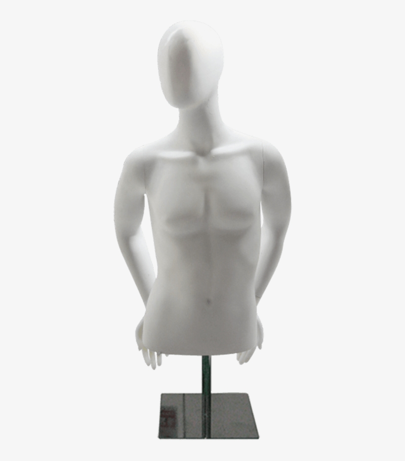 Md-m1026 Male Measurements - Half Mannequin Male Png, transparent png download