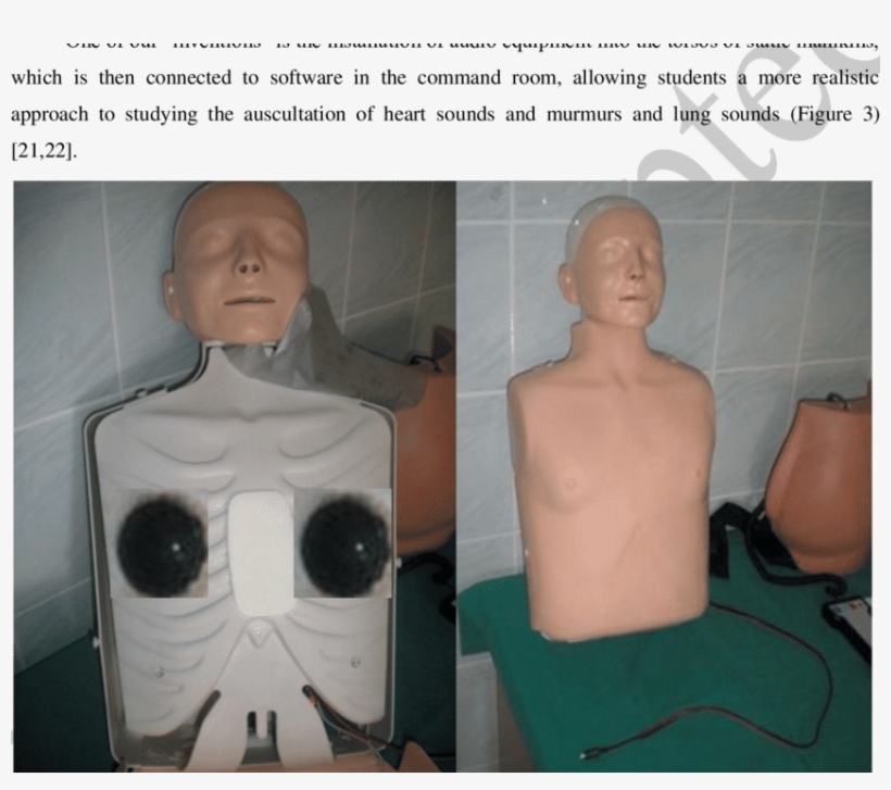 Speakers Installed In Manikin's Torso Connected To - Computer, transparent png download