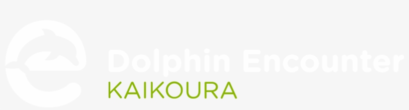 Society Of Divine Word Svd, transparent png download