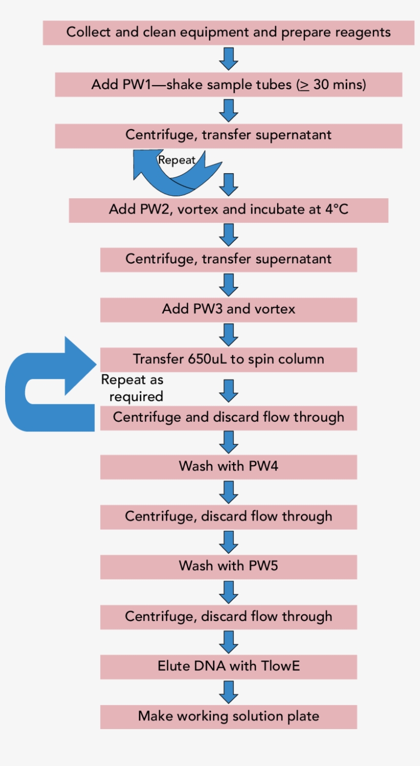 Workflow Of Dna Extraction From Edna Samples - Dna Extraction, transparent png download