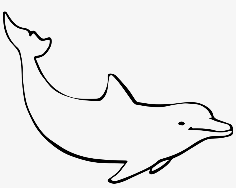 Vector Freeuse Stock Free Image On Pixabay Dolphin - Dolphin Drawing, transparent png download