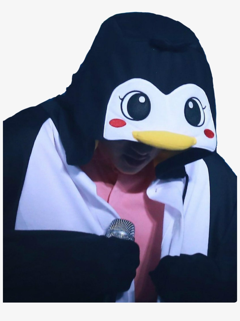 Report Abuse - Do Kyungsoo As Penguin, transparent png download