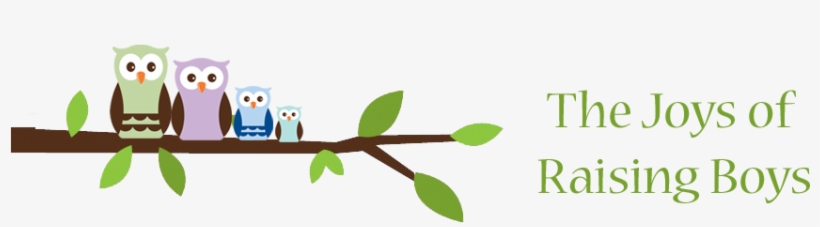 The Joys Of Raising Boys - Boy, transparent png download
