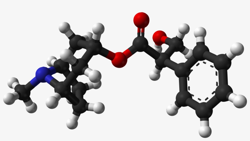 Crowd Clipart Public Domain - Amine Compounds (chemical Compounds), transparent png download